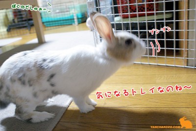 気になるトイレ