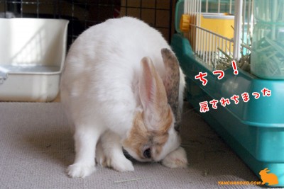 戻されちまった