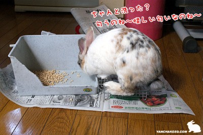 ちゃんと洗った？