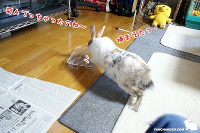 飛んじゃった