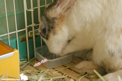 お手手に水が・・・