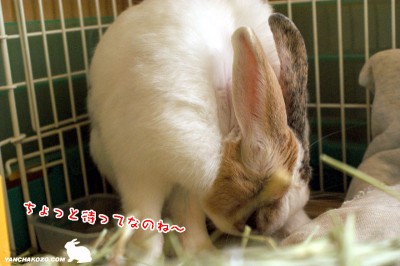 ●食べるのね～