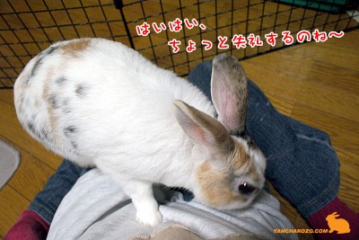 失礼するのね~ 失礼するのね~