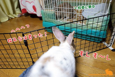 踏み台は貰った 踏み台は貰った