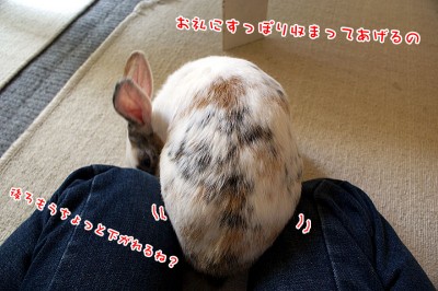 ぷりんお礼に膝の間に