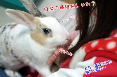 ぷりん美味しい？02