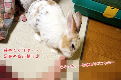 ぷりん締めくくりは足舐め