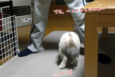 k君の足くぐり k君の足くぐり