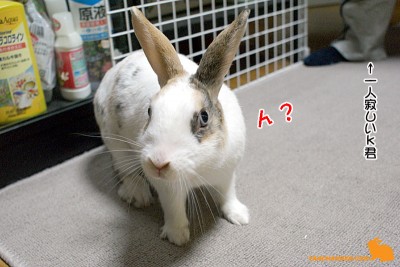 ん?カメラに反応 ん?カメラに反応