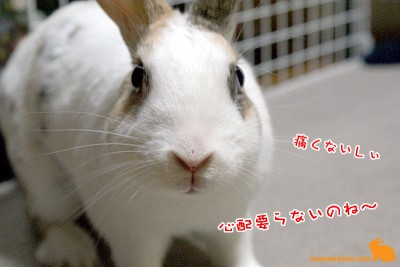 もう大丈夫 もう大丈夫