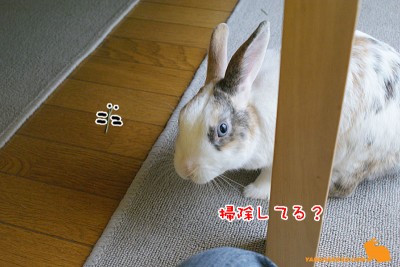 掃除してる? 掃除してる?