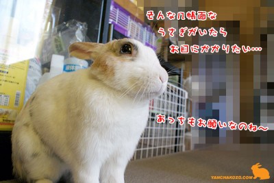 そっちもね そっちもね