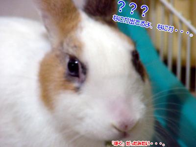 男の子？