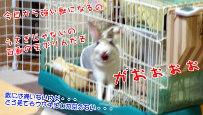 ぷりん百獣の王