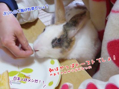 ぷりんパン食べる02