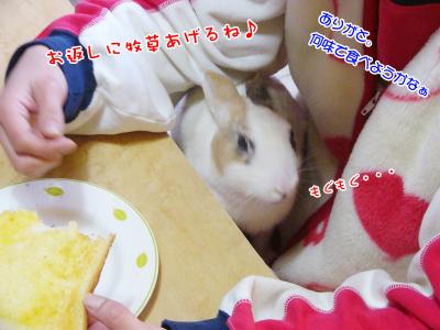 ぷりんパン食べる03