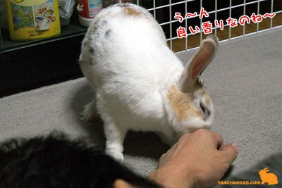 好きな香り