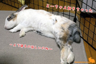 一人は寂しい