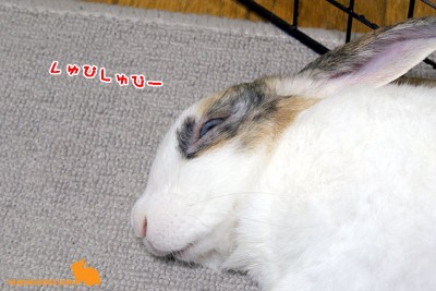 即効で寝る