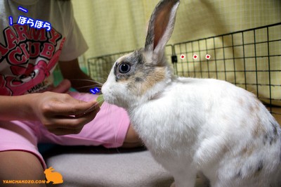 茎相手に固まる