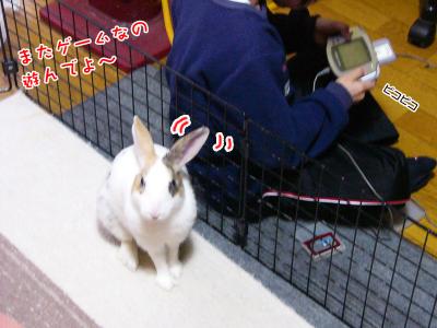 ぷりんとゲーム