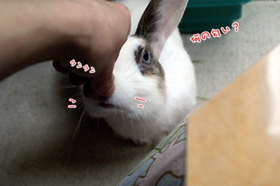 ぷりんポテチ風味の指を嗅ぐ