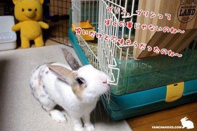 イジケルぷりん