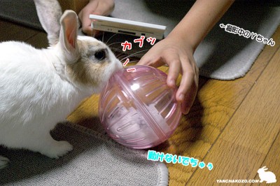 カプッとしてみる カプッとしてみる