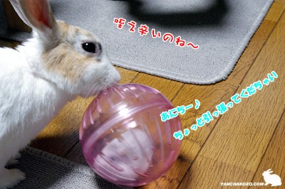 咥え辛いのね~ 咥え辛いのね~