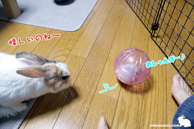 怪しい奴・・・ 怪しい奴・・・