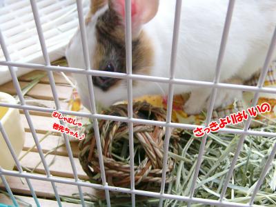 ぷりんランタンボール02