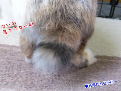 ぷりん探し物02