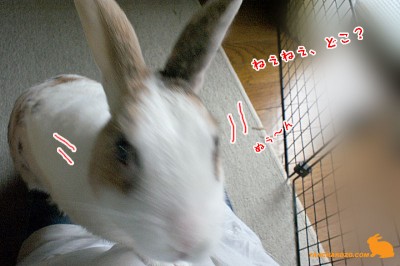 ねぇねぇ、知らない？