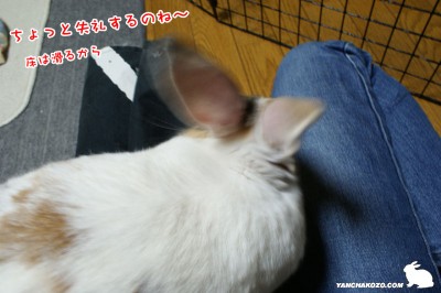 ぷりん踏み台は貰った