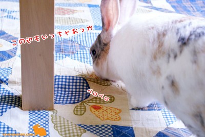 この辺も・・・