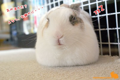 気が済んだ? 気が済んだ?