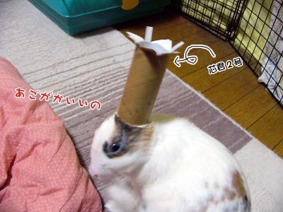 ぷりん嫌いな被り物