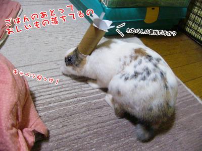 ぷりん嫌いな被り物02