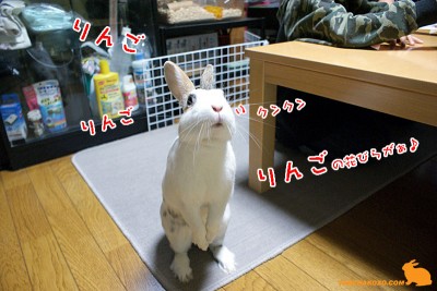 りんご探す