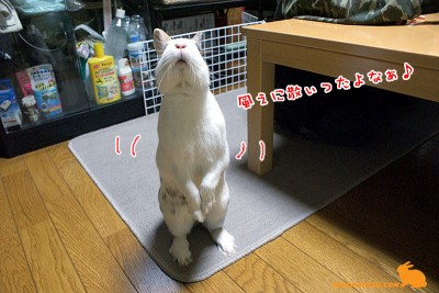 りんご追分歌う