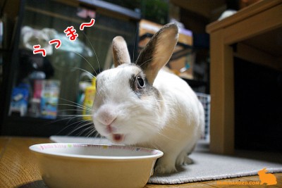 まん丸お口