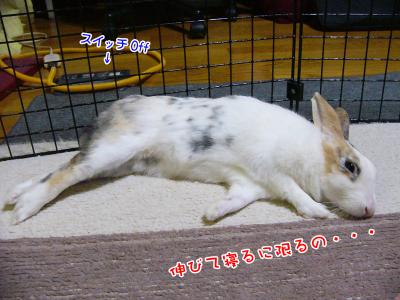 ぷりんどこ撮ってるの！