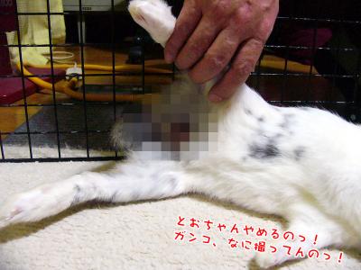 ぷりんどこ撮ってるの！02