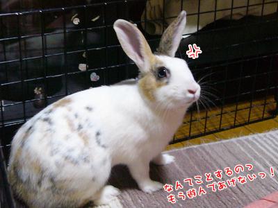 ぷりんどこ撮ってるの！03