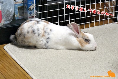 お手手を隠して寝るのね～