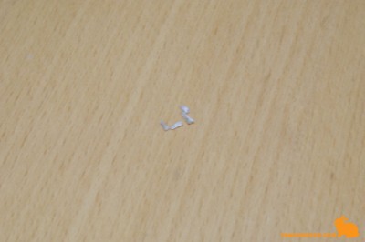 ぷりんの左手爪