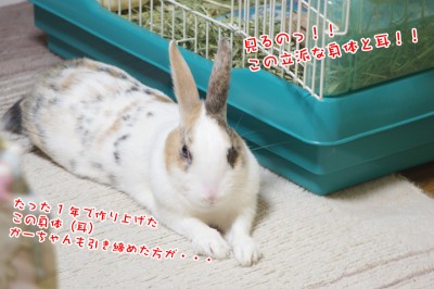 ぷりんナイスボディ