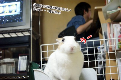 ぷりん●中