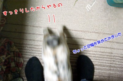 ぷりんいつものあれ