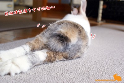 鼻歌でちゃうのね～